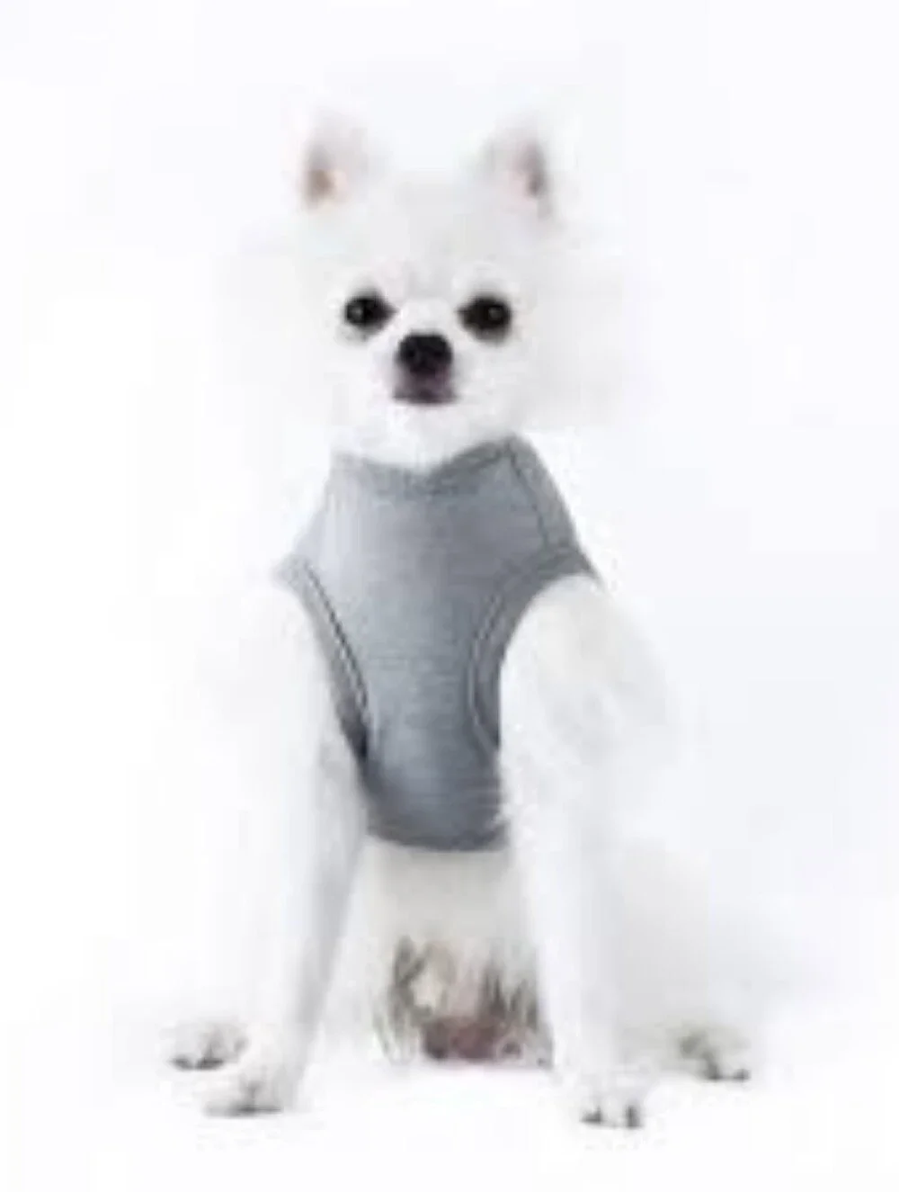 Dogs Grey Graphic Tank Top with Purple Leia Print
